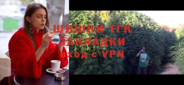 ECSTASY Тайга